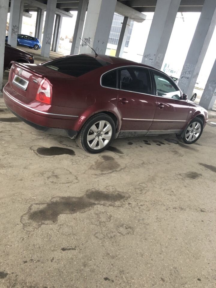 Volkswagen Passat: фото владельца