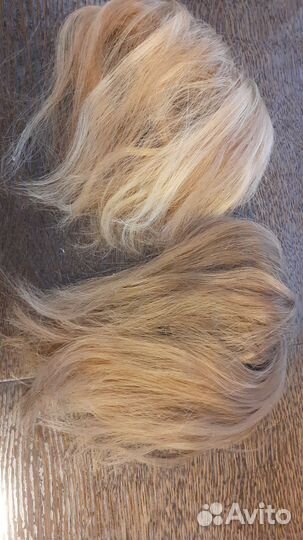 Волосы для наращивания славянка