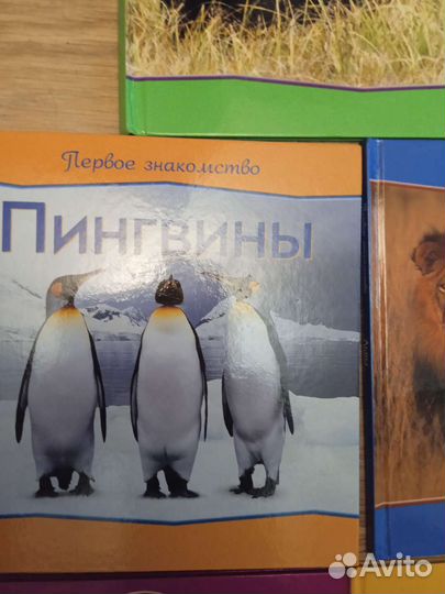 Энциклопедия для детей