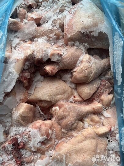 Бедро-голень цб