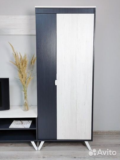 Шкаф для одежды Винтер 4