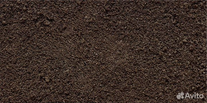 Чернозем Грунт Торф Земля