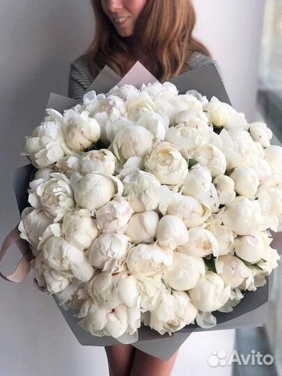 Розы Пионы букеты 101 201 Доставка за час