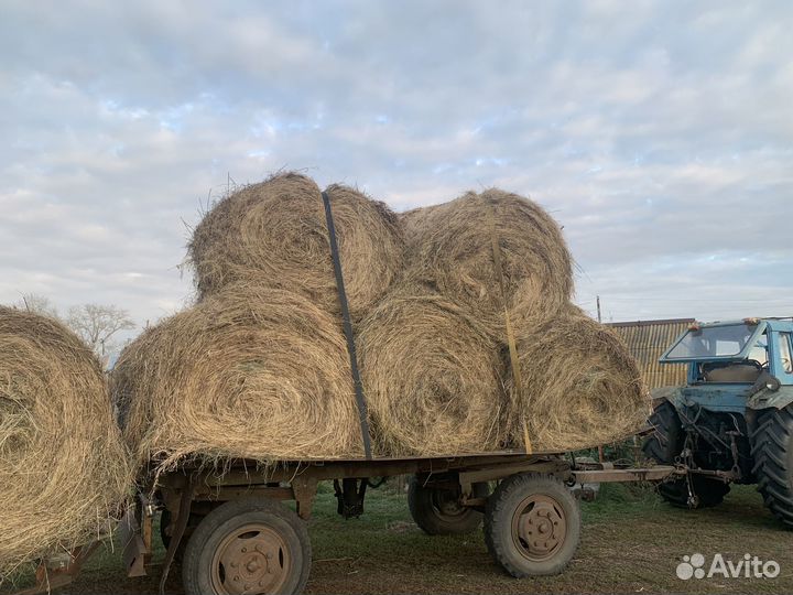 Сено в рулонах