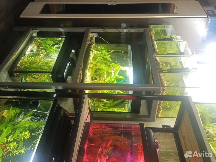 Мини аквариумная ферма