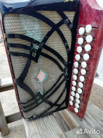 Гармонь шуйская