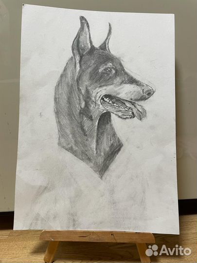 Портреты животных на заказ