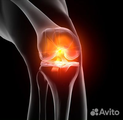 Лечебный накаленик Собачий Верблюжий