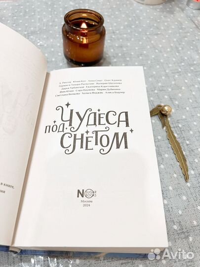 Чудеса под снегом