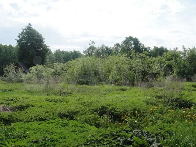 Участок 50 сот. (ИЖС)