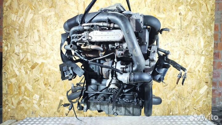 Двигатель Volkswagen Golf 5 (2003 - 2009) 1.9 BXF