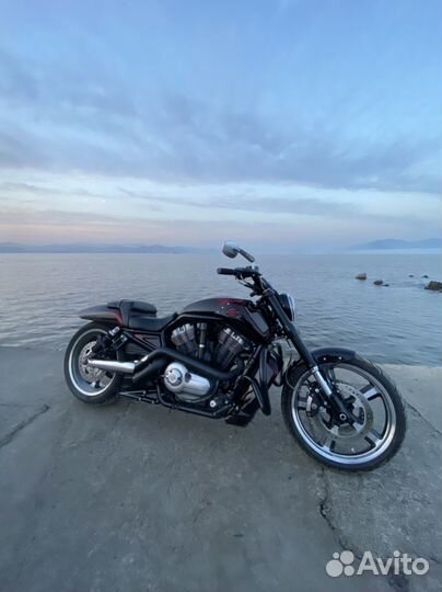 Harley Davidson v-rod muscle