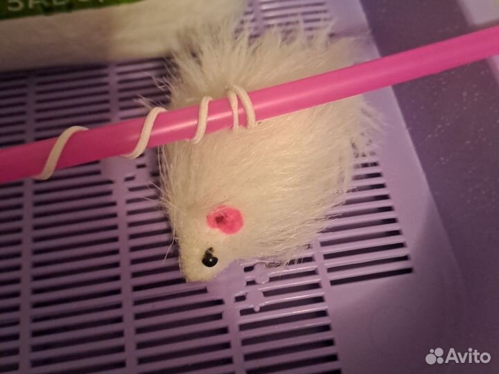 Лоток и наполнитель