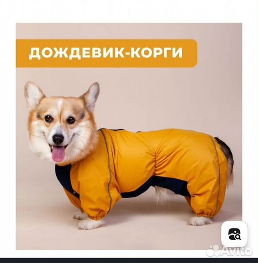 Дождевик для собаки