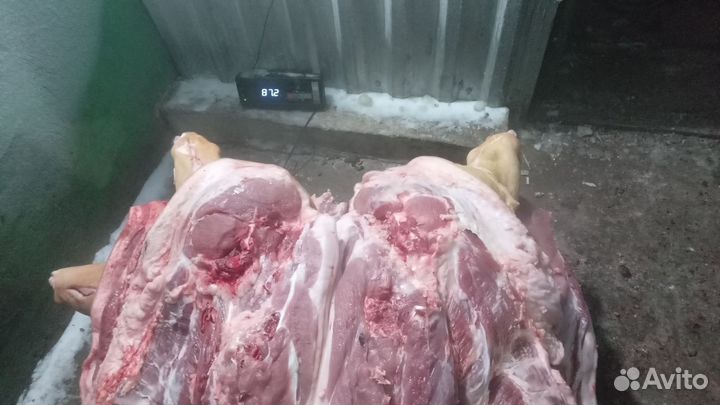 Продам мясо свинина 300