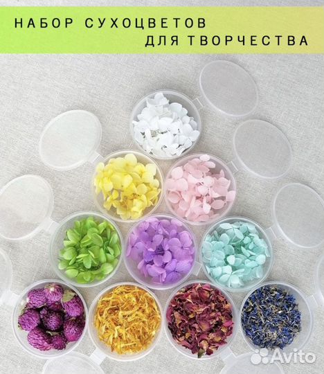 Сухоцветы для творчества, для свечей