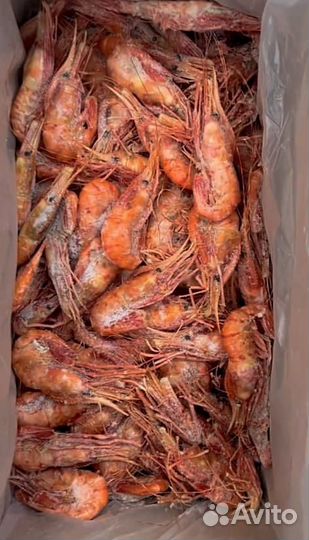 Креветка Ботан