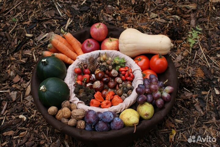 Грунт для грядок