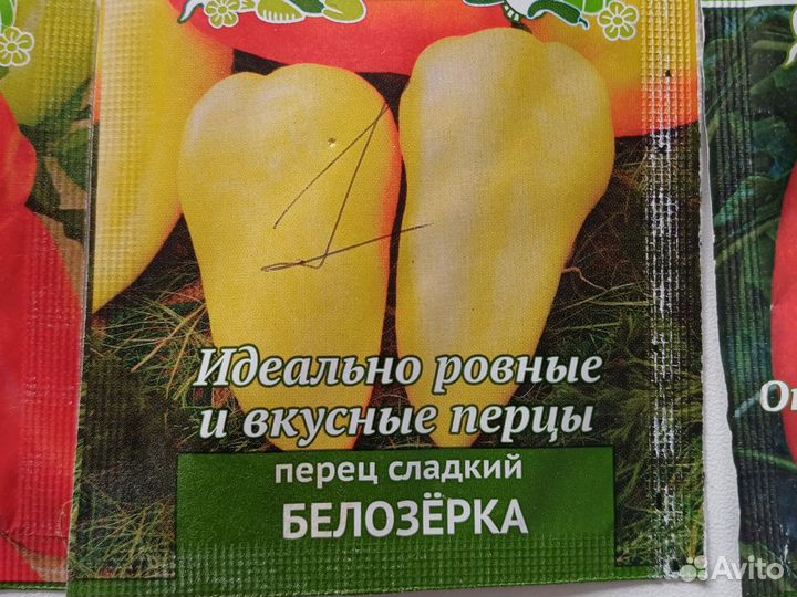 Рассада перца