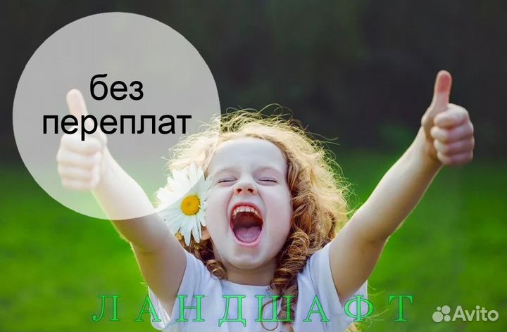 Лучший рулонный газон для вас Железнодорожный