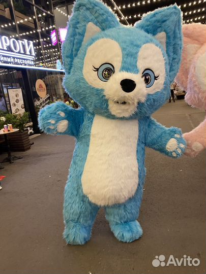 Праздники Аниматор Поздравление от белочек