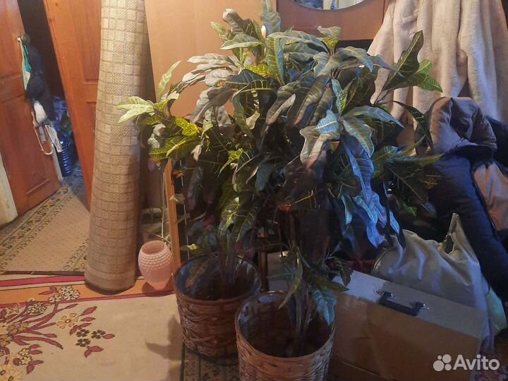 Цветы интерьерные искусственные напольные