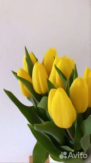 Тюльпаны к 8 марта оптом