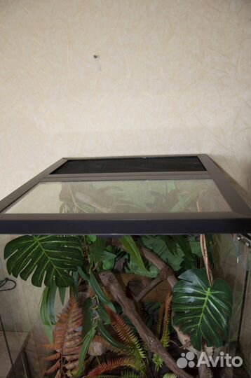 Террариум для ящериц и пауков