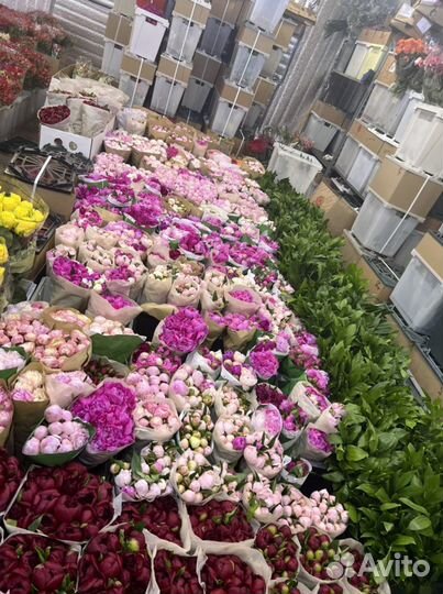 Пионы и васильки