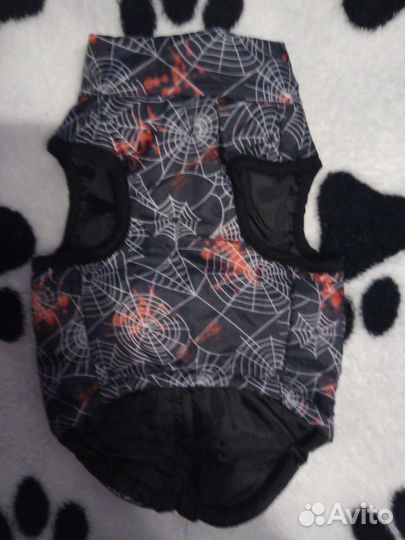 Одежда для животных