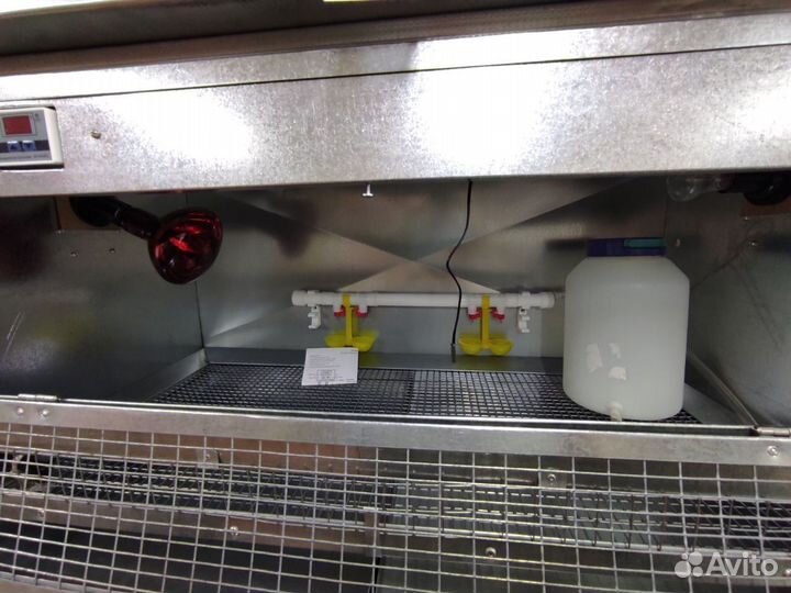 Брудер для цыплят (автомат температуры)