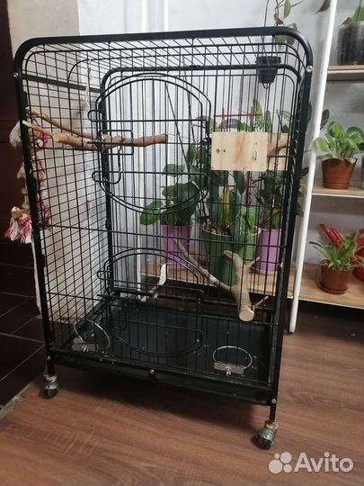 Клетка для попугая