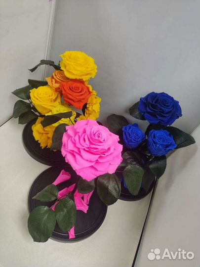 Роза в колбе оптом и в розницу