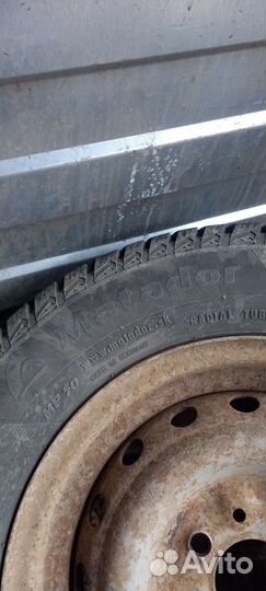 Matador MP 50 Sibir Ice 175/70 R13 82T