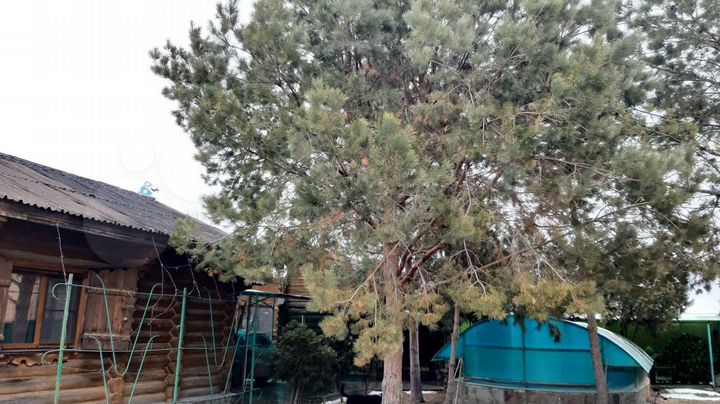 Дом 100 м² на участке 7 сот.