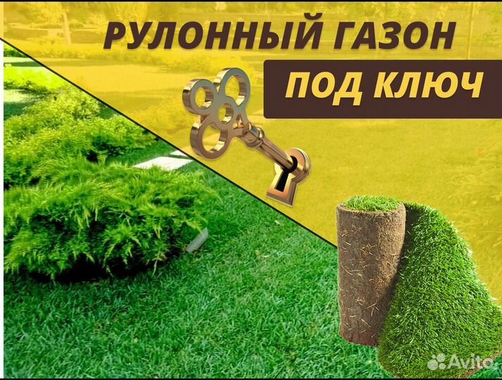 Рулонный газон под ключ Элитный