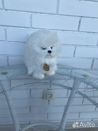 Белый щенок и венипух