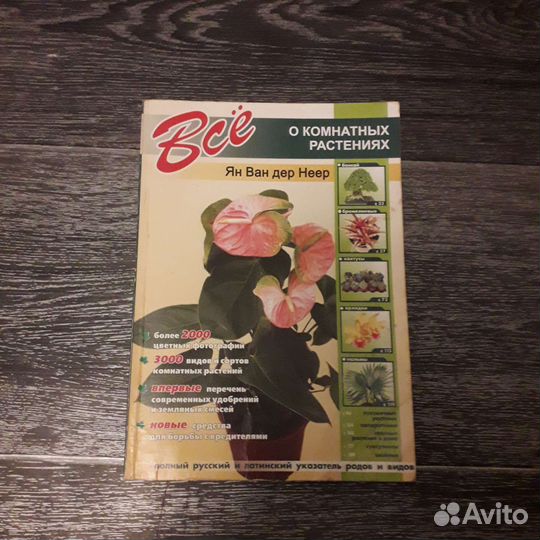 Все о комнатных растениях