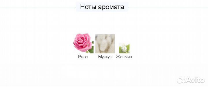 Духи Montale Roses Musk 100 ml