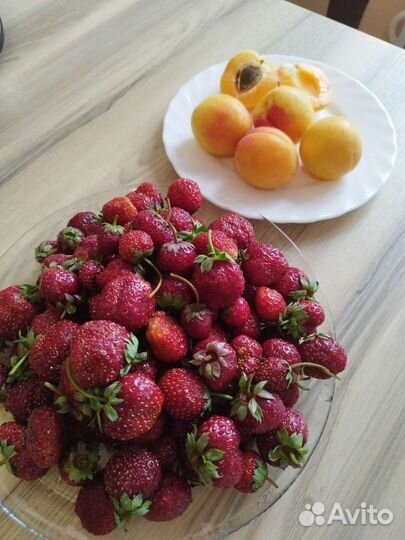 Клубника и др. ягоды из Киргизии