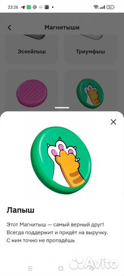 Магнитыши обмен