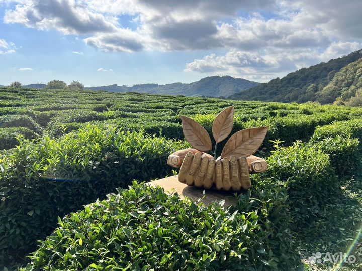 Экстрим тур на внедорожнике. 3 маршрута на выбор