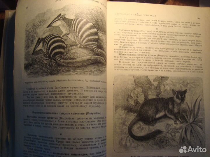 Книги о птицах и животных