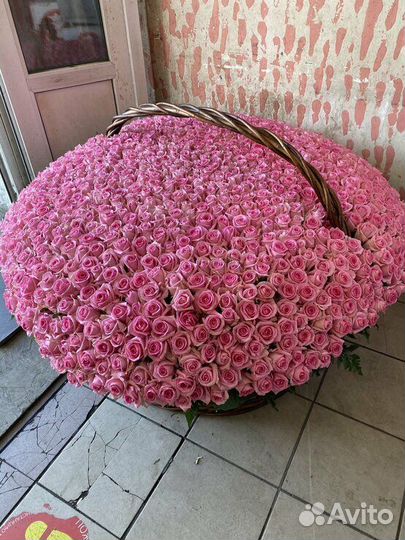 Розы 25 шт 51 роза 101 роза 151 опт