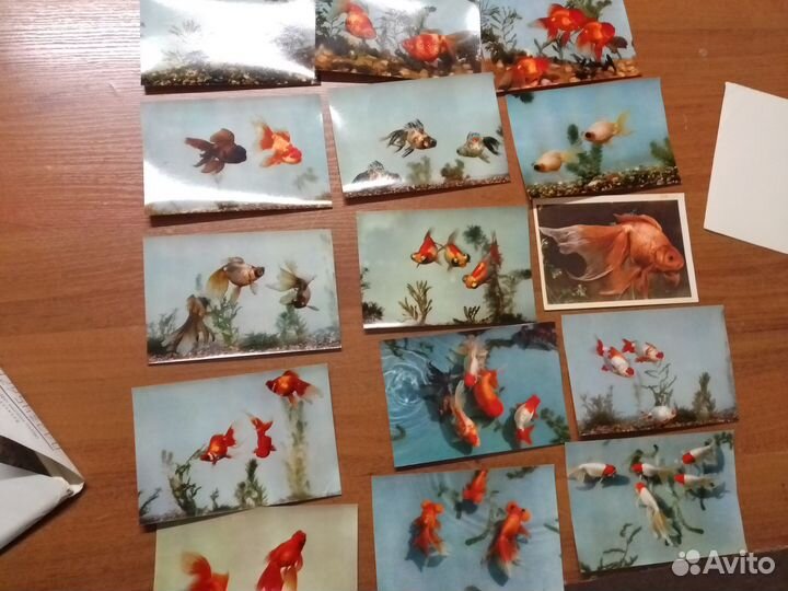 Открытки СССР