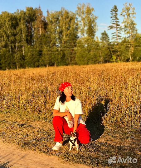 Выгул собак