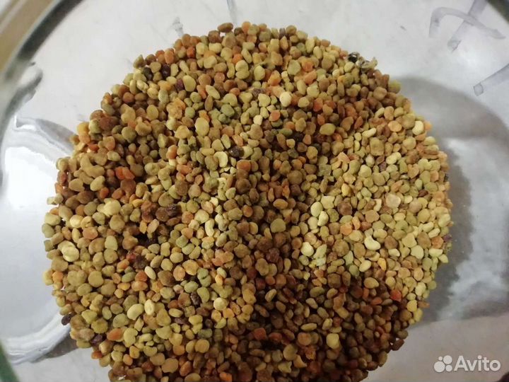 Обножка пчелиная / пыльца 2023