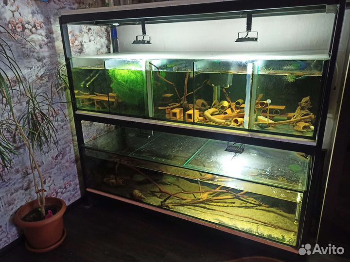 Аквариум