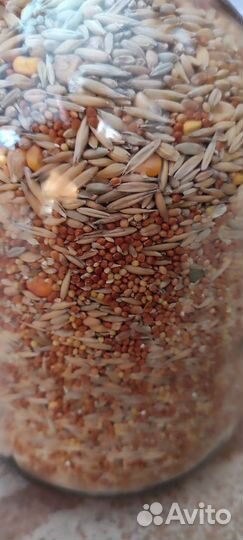 Корм для грызунов, попугаев