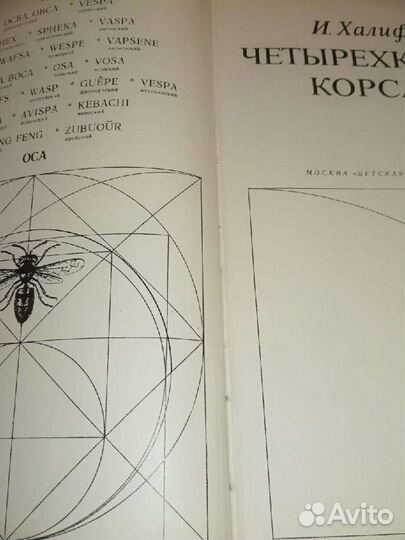Четырехкрылые корсары. Книга